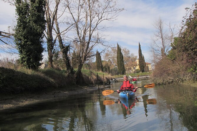 2 Hour Night Kayak Tour in Venice, premium experience with sunset - Wildlife and Flora-Fauna Facts You Can Actually Use