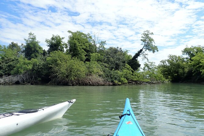 2 Hour Night Kayak Tour in Venice, premium experience with sunset - Price and Value: Why This Costs What It Costs