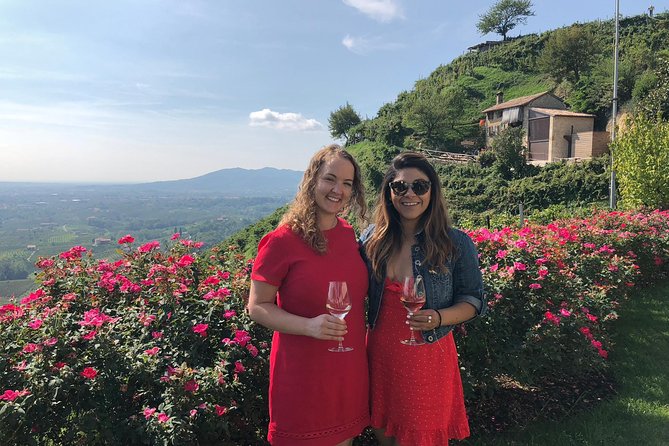 A Sparkling Day in the Prosecco Hills from Venice - Price and value: what $228.56 covers (and why it matters)