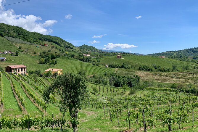 A Sparkling Day in the Prosecco Hills from Venice - Valdobbiadene morning: tastings with the hills in view