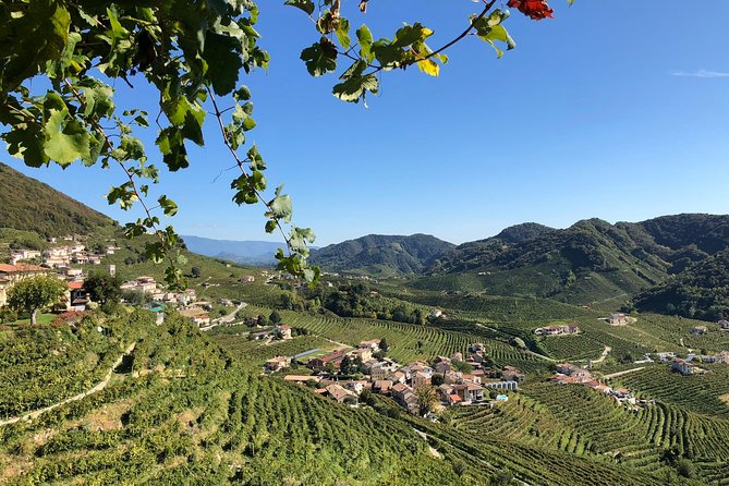 A Sparkling Day in the Prosecco Hills from Venice - Getting to Conegliano: the one logistics piece to plan for