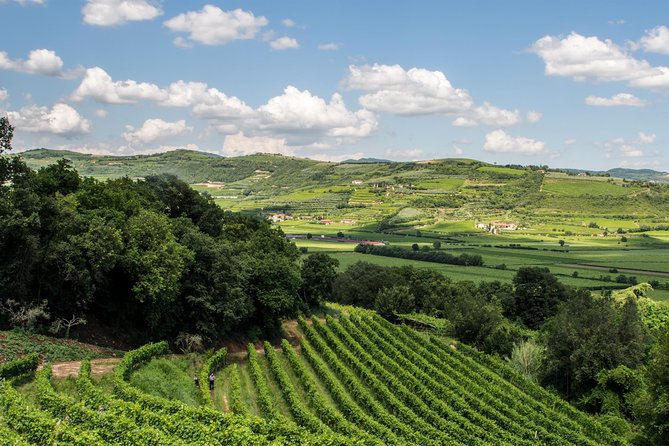 Amarone & Soave Wine Tour with Sommelier – Visit Verona - Lunch and snack timing: how the food keeps the day enjoyable
