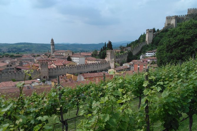 Amarone & Soave Wine Tour with Sommelier – Visit Verona - The Verona walking tour: main sights without the stress