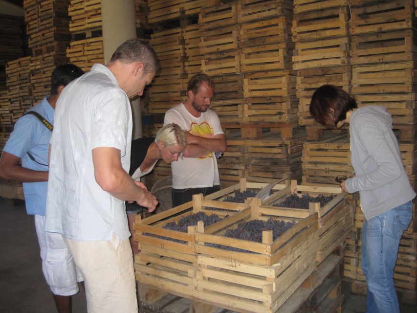 Amarone Wine Tour & Tasting from Venice, Padua or Verona - The heart of the day: how Amarone and Recioto grapes are treated