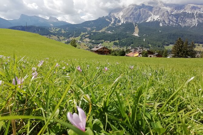 Discover the Dolomites, Cortina and Lake Braies from Venice - Lake Misurina: quick photos, big mountain context