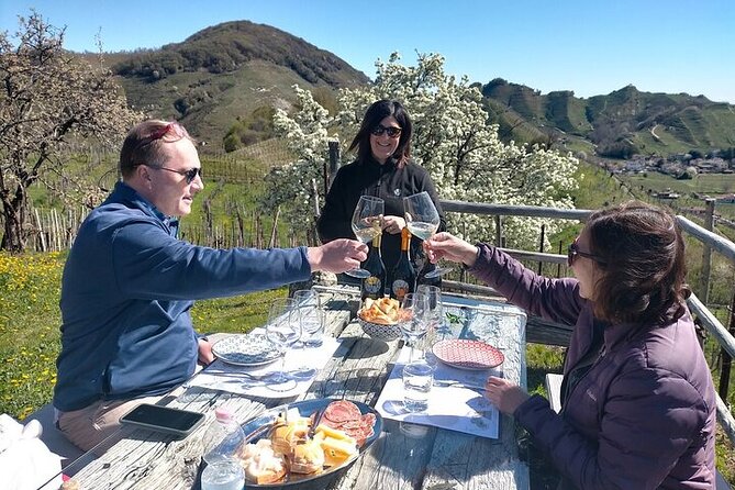 Exclusive Prosecco Wine Tour from Venice - Small Group - Key highlights you should care about