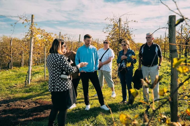 From Venice: Prosecco Hills and Wine Tasting Tour - Key points