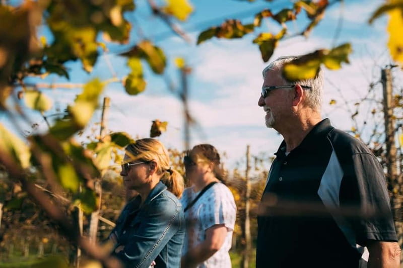 From Venice: Prosecco Hills and Wine Tasting Tour - Price and value: is $153.16 a fair deal from Venice?