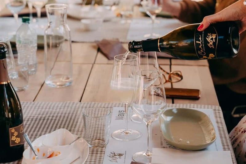 From Venice: Prosecco Hills and Wine Tasting Tour - Timing, transportation, and comfort for a 6-hour day