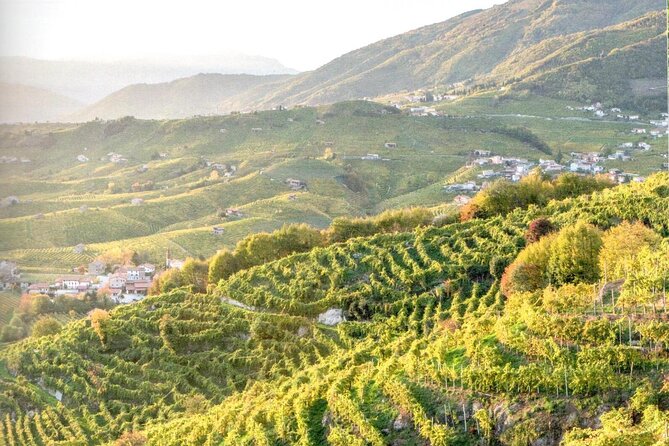 Full Day Wine Tour and Tasting in the Prosecco Region - L’Osteria Senz’Oste stop: a quick view break with an easy vibe