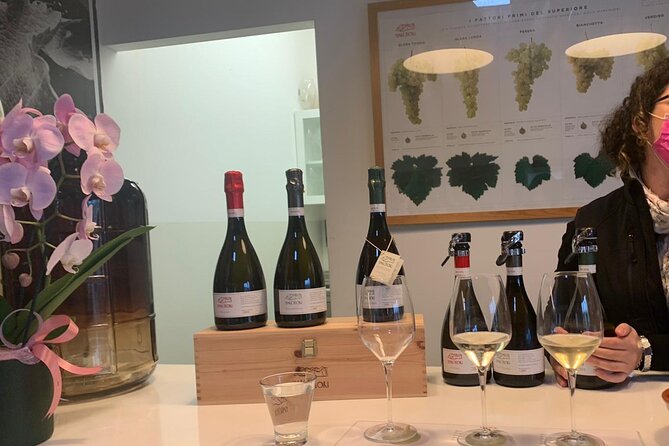 Full Day Wine Tour and Tasting in the Prosecco Region - What kind of wine day is this: educational first, then enjoyable