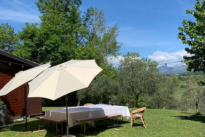 Premium Private Prosecco Hills Tour - 2 Wineries. Private tour. - Price and value: what you’re really paying for at $231.29 per person