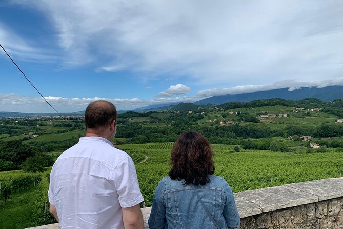 Premium Private Prosecco Hills Tour - 2 Wineries. Private tour. - Who this tour suits best (and who might not love it)