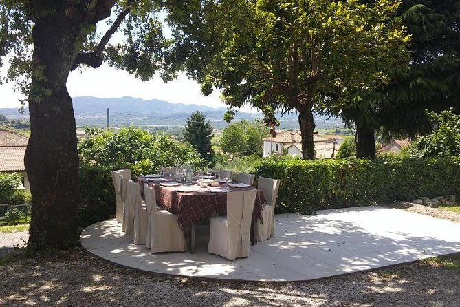 Premium Prosecco Hills Winery Tour with Prosecco Tastings & Food - What Makes the Tasting Format Work (and Who Should Choose It)