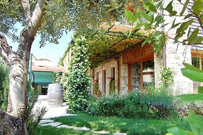 Premium Prosecco Hills Winery Tour with Prosecco Tastings & Food - UNESCO Prosecco Hills: How Valdobbiadene Sets the Tone