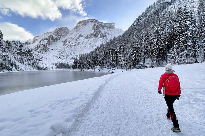 Private Guided Tour in the Dolomites from Venice - Leaving Venice at 9:00 from Piazzale Roma: what the morning sets up