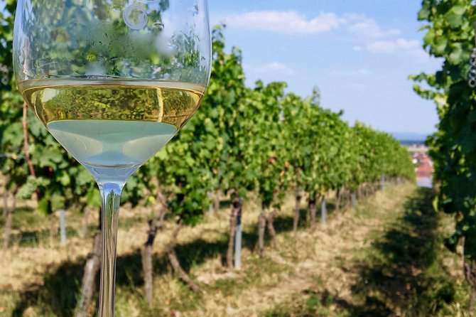 Private Half Day Wine Tasting tour: Road Of The Doges - Logistics in Venice: meeting point, start time, and peace of mind
