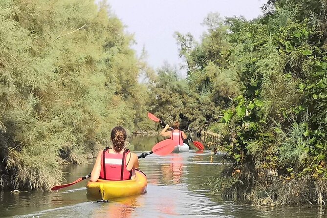 Private Kayak Tour in the Venetian Lagoon - Quick hits before you paddle