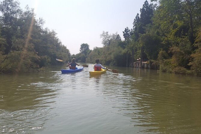 Private Kayak Tour in the Venetian Lagoon - Wildlife and those quiet-water stretches