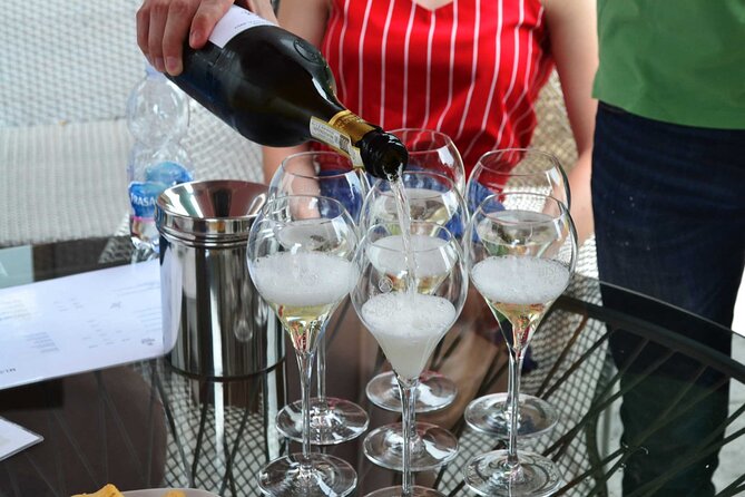 Private Tour: Prosecco Wine Tasting Day Trip with Lunch from Venice - Key things worth knowing before you go