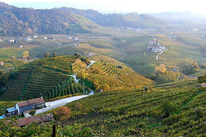 Private Tour: Prosecco Wine Tasting Day Trip with Lunch from Venice - Practical tips for a smoother Prosecco day