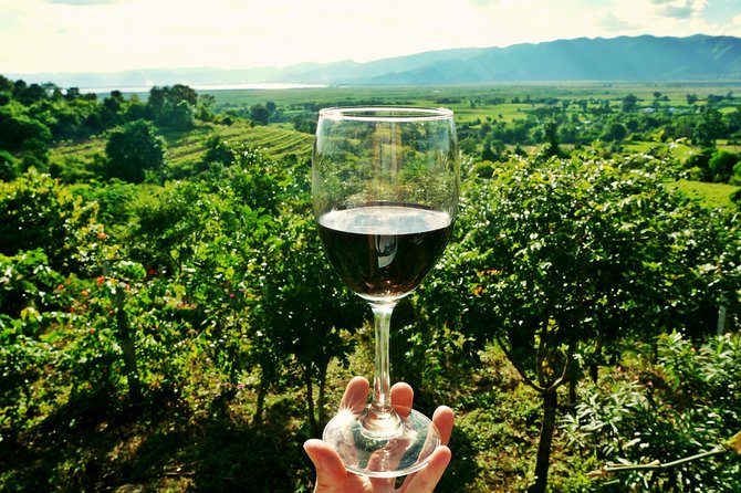 Private Valpolicella Day Trip from Venice: Wine Tasting and Verona - Price and Value: Is $1,175.05 Worth It?