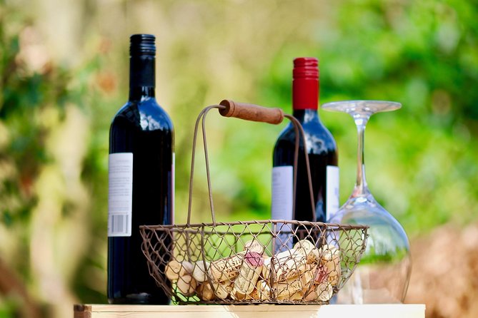 Private Valpolicella Day Trip from Venice: Wine Tasting and Verona - What You’ll Notice About the Guide (and Why Seating Matters)