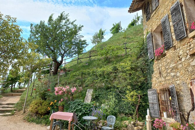 Prosecco Hills Day Trip from Venice & Treviso: 2 Wineries - Prosecco Hills: why this day trip feels more like a course than a drive