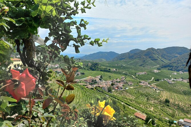 Prosecco Hills Day Trip from Venice & Treviso: 2 Wineries - Stop 1 (Valdobbiadene): historic winery visit, cellar walk-through, and 3 DOCG tastings