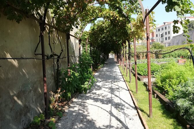 Secret Gardens of Venice Walking Tour - Stop 2: Parco Villa Groggia for the calm stroll with a performance backdrop