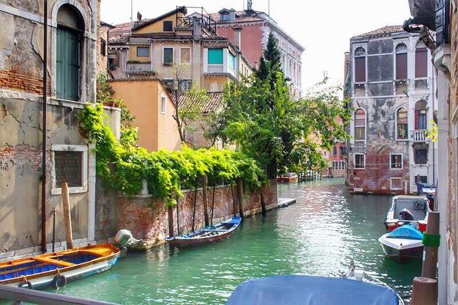 Tasty Street Food Tour of Venice City Center with Cicchetti & Local Specialties - How the Group Size Changes Your Food Choices