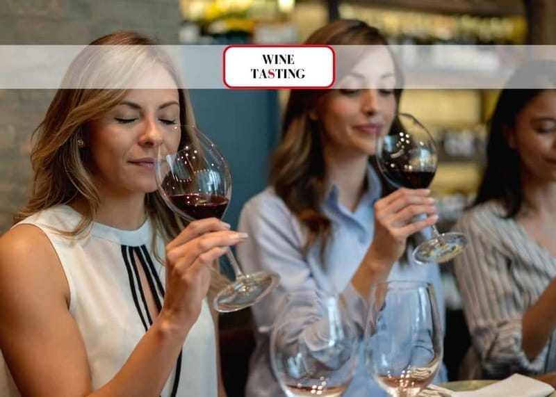 Venice: Italian Prosecco or Red Wine Tasting Expereince - Your 40-minute taste of Venetian wine culture by Accademia Bridge