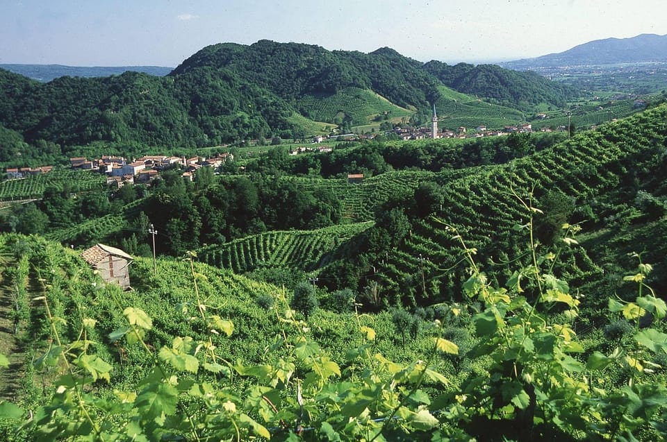 Venice: Prosecco Hills Wineries Tour with Tastings and Lunch - Who this Prosecco Hills tour fits best