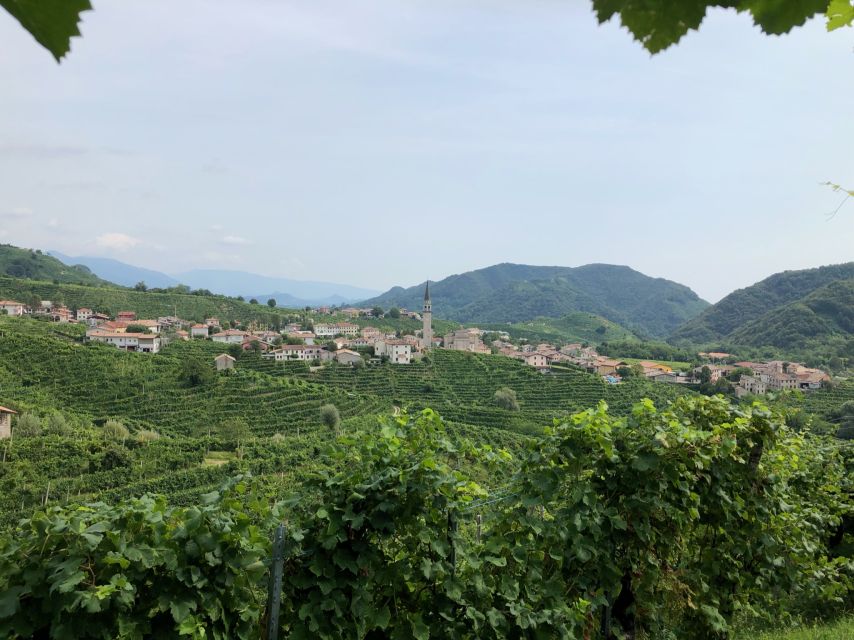 Venice: Prosecco Hills Wineries Tour with Tastings and Lunch - The aperitivo moment: views, vineyards, and bird-song