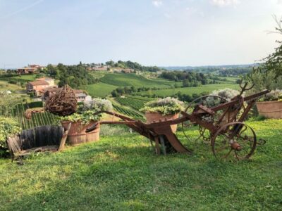 Venice: Prosecco Hills Wineries Tour with Tastings and Lunch - Stop 1 in the Prosecco hills: learning Prosecco from the vines up