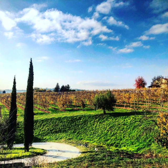 Venice: Prosecco Hills Wineries Tour with Tastings and Lunch - Lunch at a family-owned osteria: where spiedo steals the show