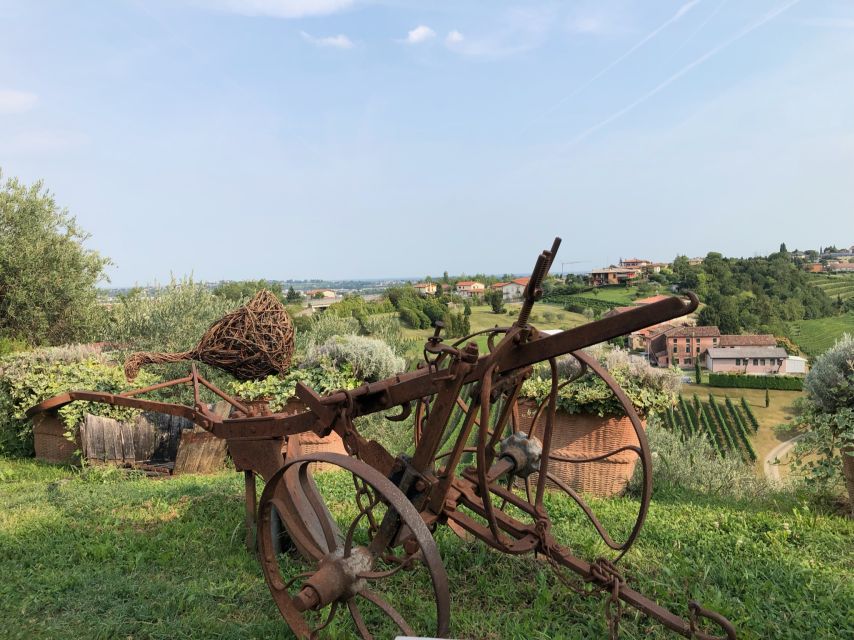 Venice: Prosecco Hills Wineries Tour with Tastings and Lunch - The guide makes the day: Carlo, Julia, Sebastian, Marco