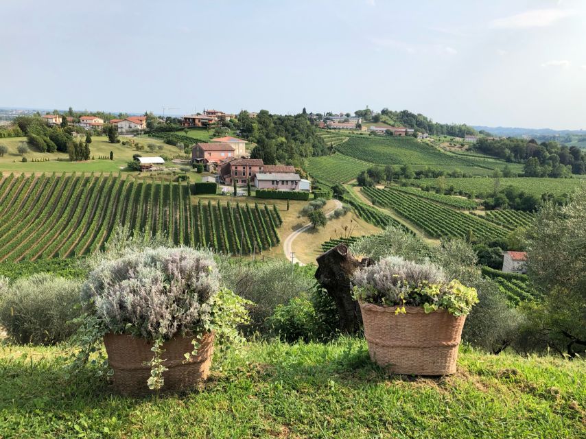 Venice: Prosecco Hills Wineries Tour with Tastings and Lunch - What you get for $202.78: value math that actually makes sense