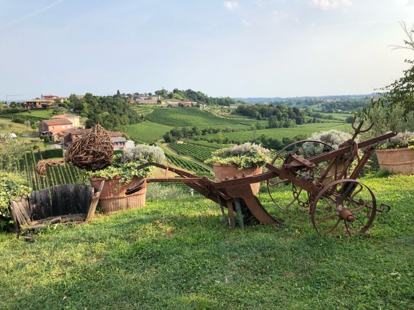 Venice: Prosecco Hills Wineries Tour with Tastings and Lunch - Stop 1 in the Prosecco hills: learning Prosecco from the vines up